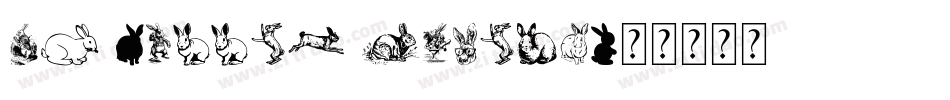 DS Rabbit Medium字体转换